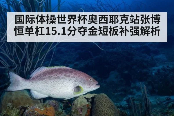 国际体操世界杯奥西耶克站张博恒单杠15.1分夺金短板补强解析