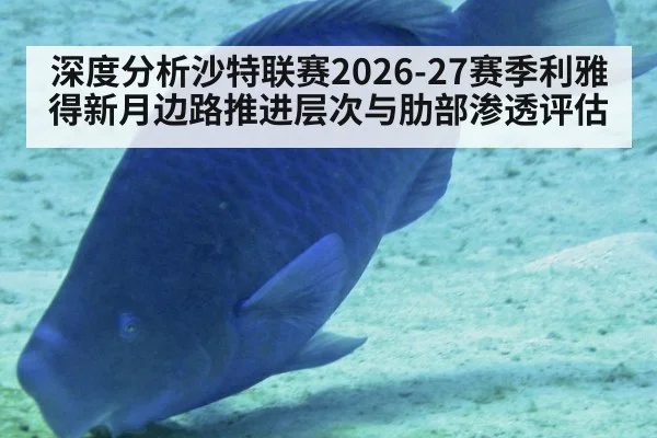 深度分析沙特联赛2026-27赛季利雅得新月边路推进层次与肋部渗透评估